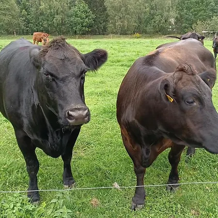 Da Braeuhauser Farm stay *