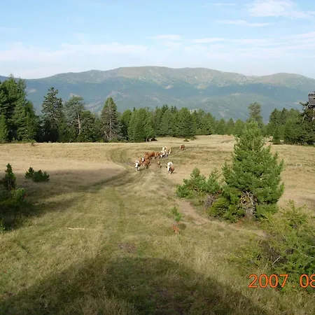 Farm stay Da Braeuhauser *