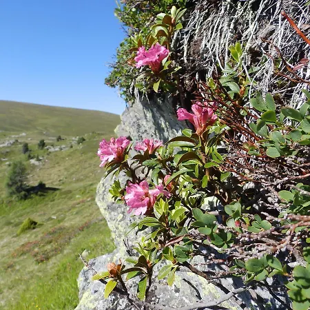 Da Braeuhauser * Stadl an der Mur