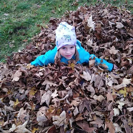 팜스테이 Da Braeuhauser *