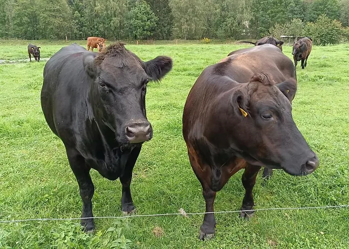 Da Braeuhauser Gospodarstwo agroturystyczne *