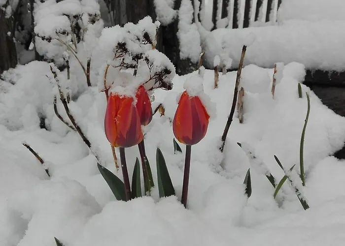 Da Braeuhauser Farm stay