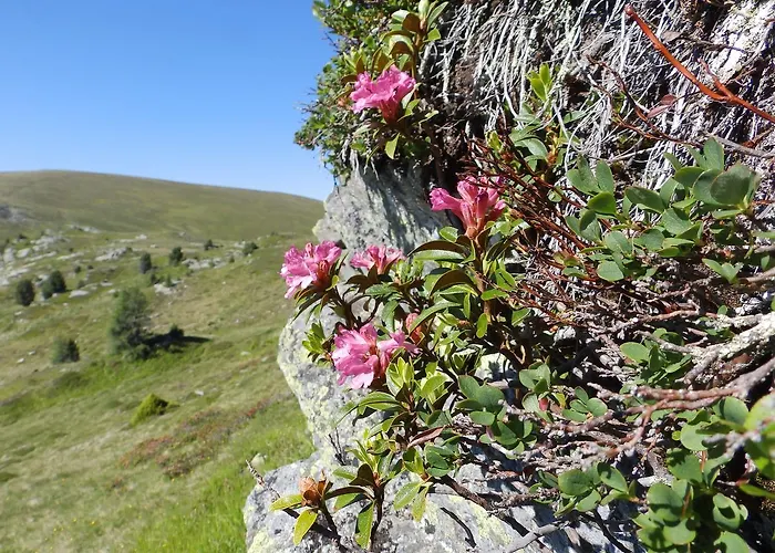 Da Braeuhauser * Stadl an der Mur