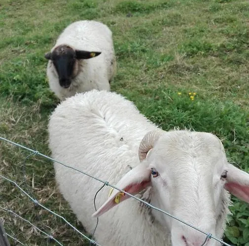 Çiftlik konaklama Da Braeuhauser Stadl an der Mur